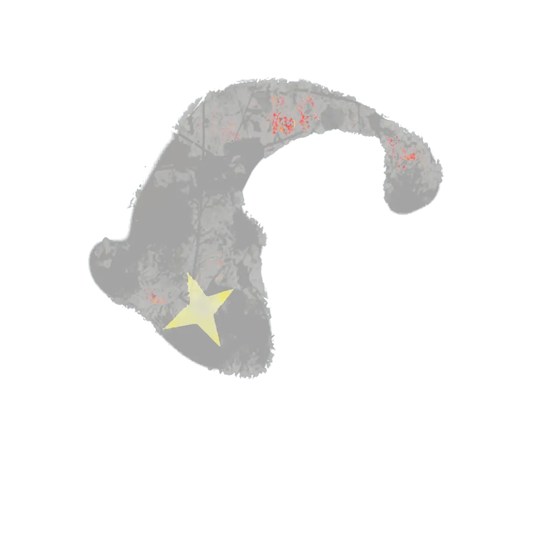 Sticker 100%