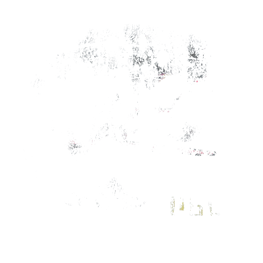 Sticker 100%