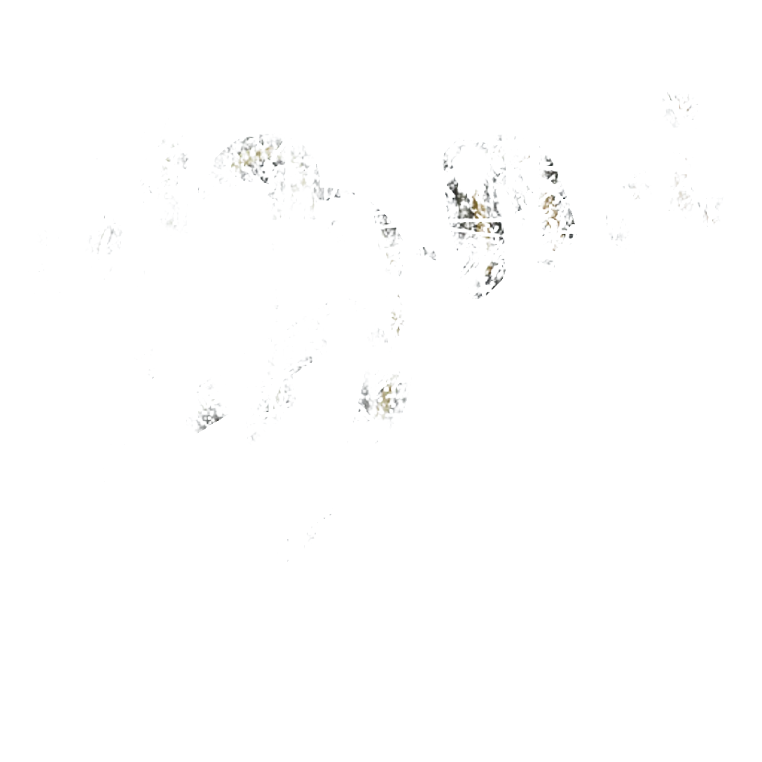 Sticker 100%