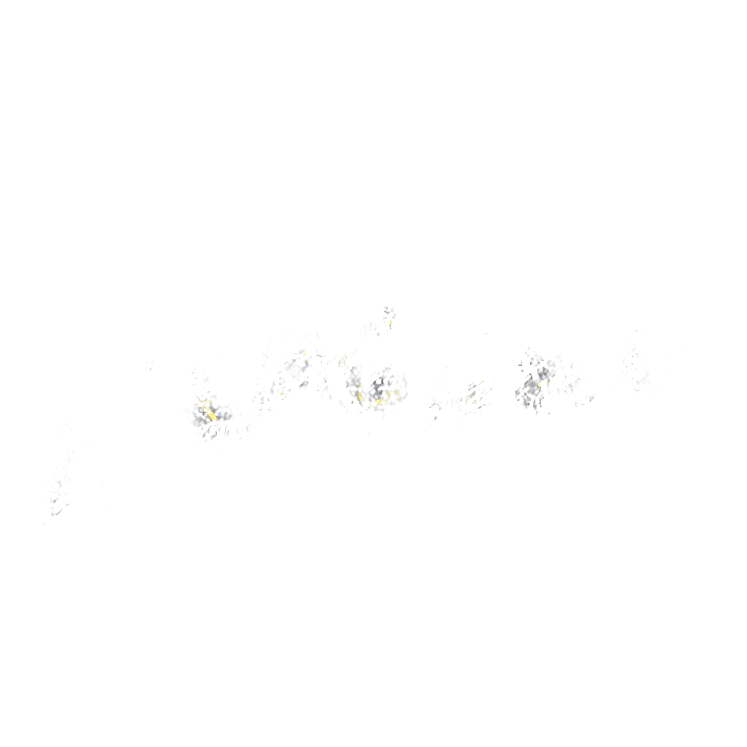 Sticker 100%