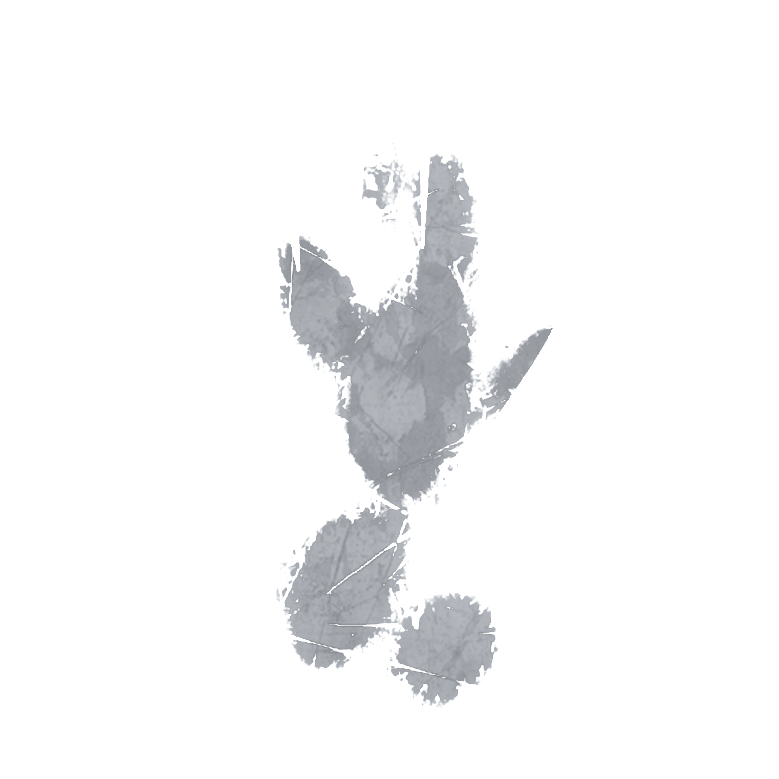 Sticker 80%