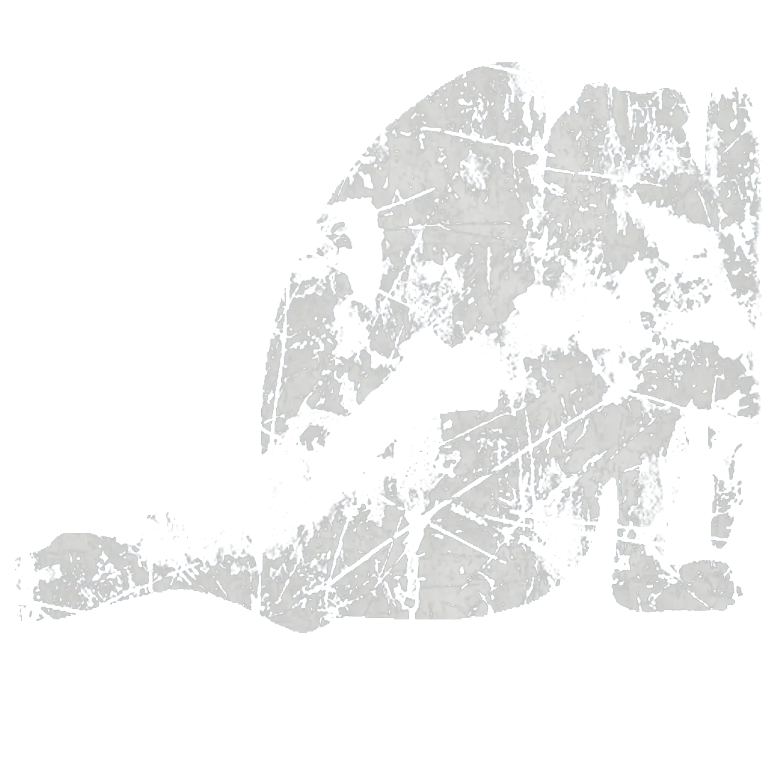 Sticker 80%